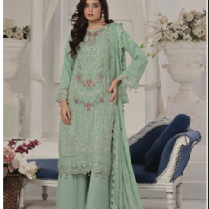 Pakistani Dress - WA008