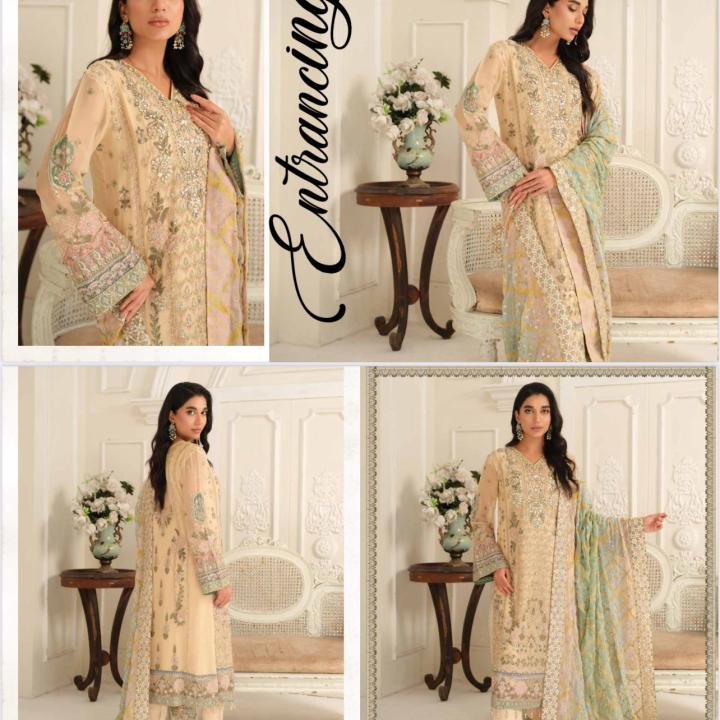 Pakistani Dress - WA0017