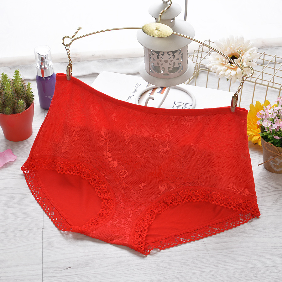 Premium Full Coverage Cotton Net Panties - Image 3